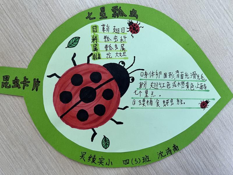 身份1.jpg
