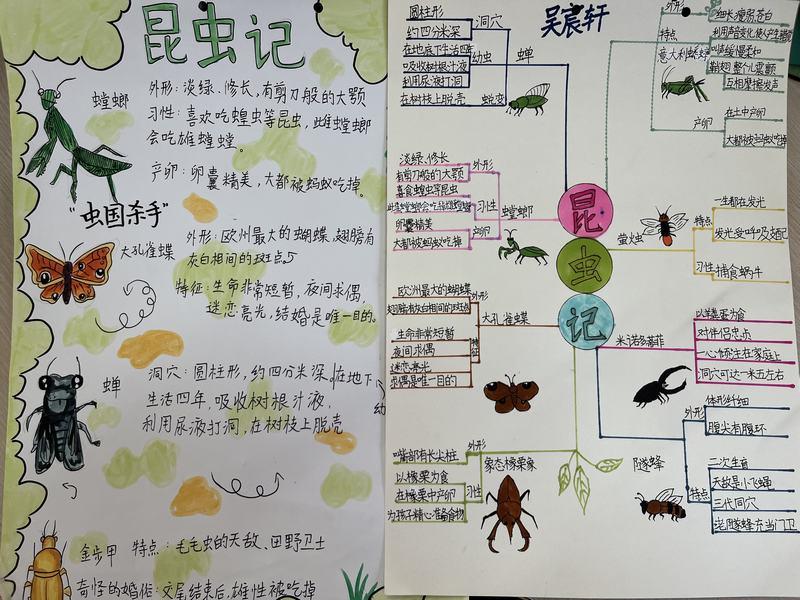 导图5.jpg