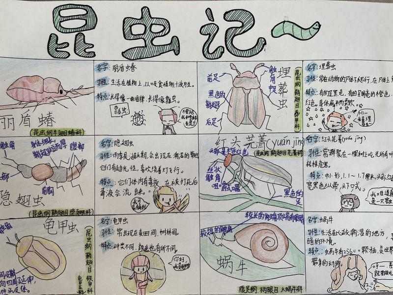 导图4.jpg