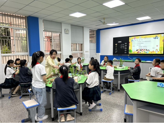 QQ图片20240603095749.png